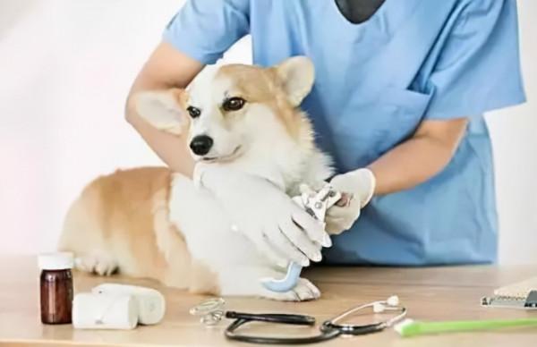 2022年高考，400—500分之間適合報考的專業，考生和家長可以參考