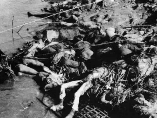 老兵為何如此恨日本人?我的子孫,世代不能和日本人通婚,交往 老兵為何如此恨日本人?我的子孫,世代不能和日本人通婚,交往