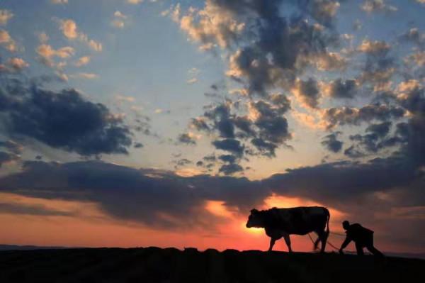 活著,真不是一件容易的事 活著,真不是一件容易的事