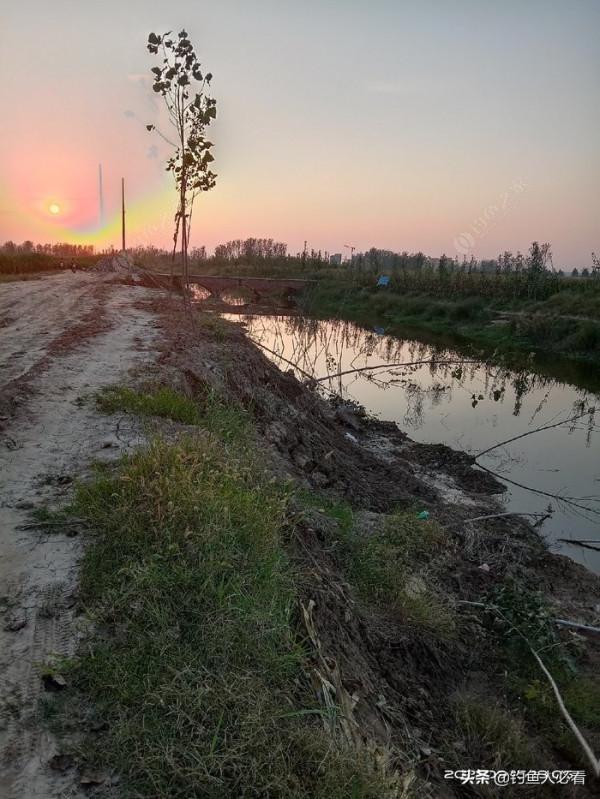 夜釣,上半夜好還是下半夜好?歡迎大家來探討 夜釣,上半夜好還是下半夜好?歡迎大家來探討