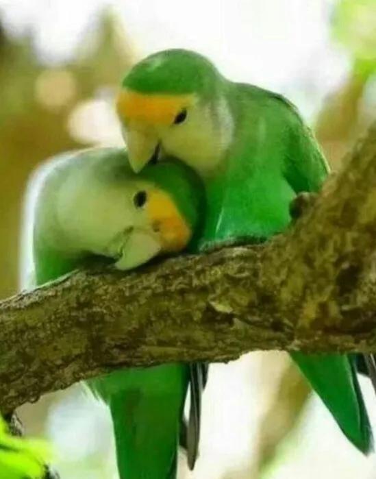 冬天雖冷,因為有你相擁而溫暖 冬天雖冷,因為有你相擁而溫暖