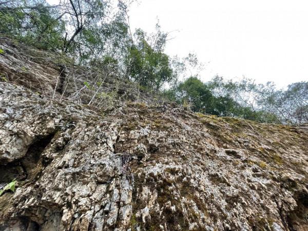 四川省巴中市南江縣光霧山，一年四季景色都不錯，值得去的地方