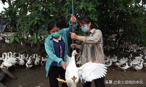來海南避寒過冬，不得不吃的20種地道美食，你都吃過了嗎？