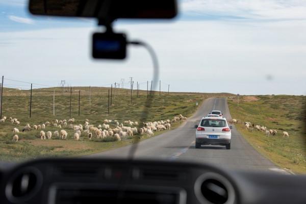 車型要對 提車還車要會 十一租車自駕遊攻略