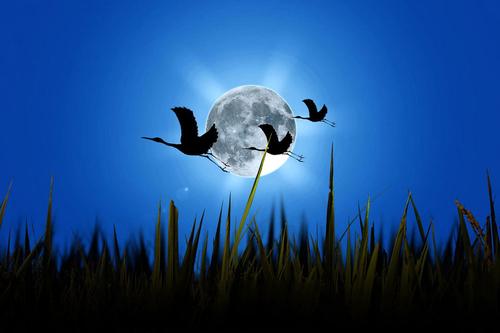 沒有月餅的中秋節