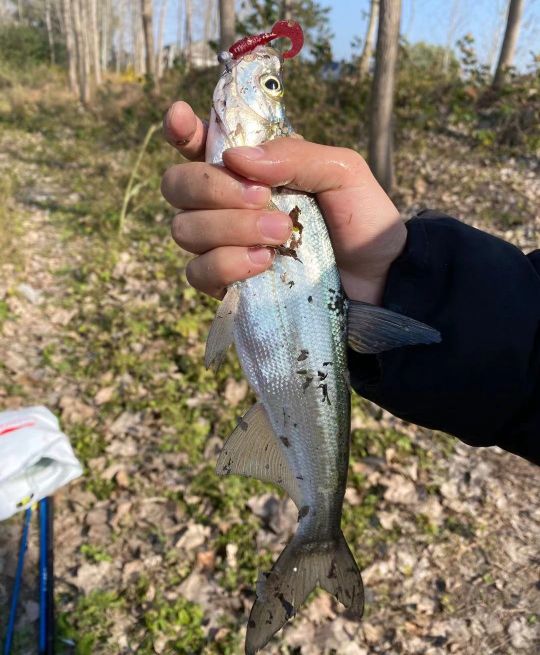 路亞入坑，座標高郵