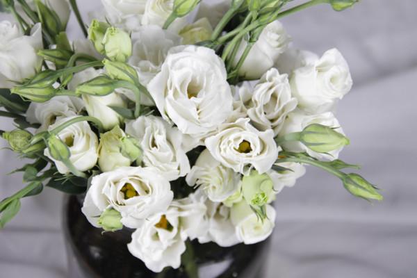 4種極具“高階感”的花，造型優雅上檔次，養在客廳特別有面子