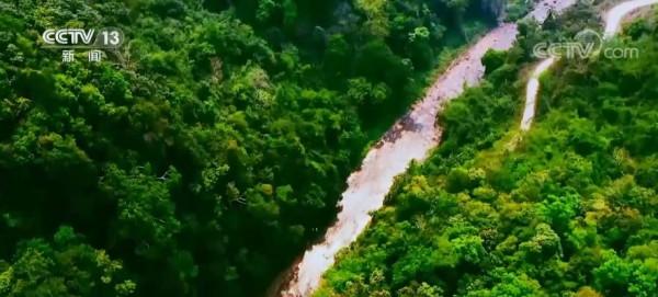 西雙版納熱帶雨林是地球同一緯度唯一綠洲 每一株植物用生命詮釋生機和活力