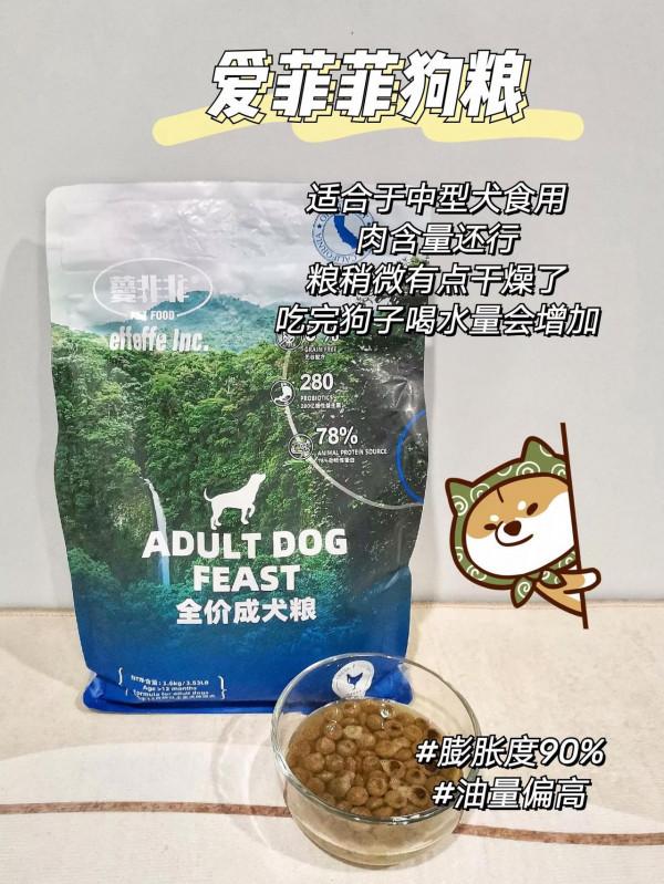 6款狗糧泡水測評｜好狗糧泡出來