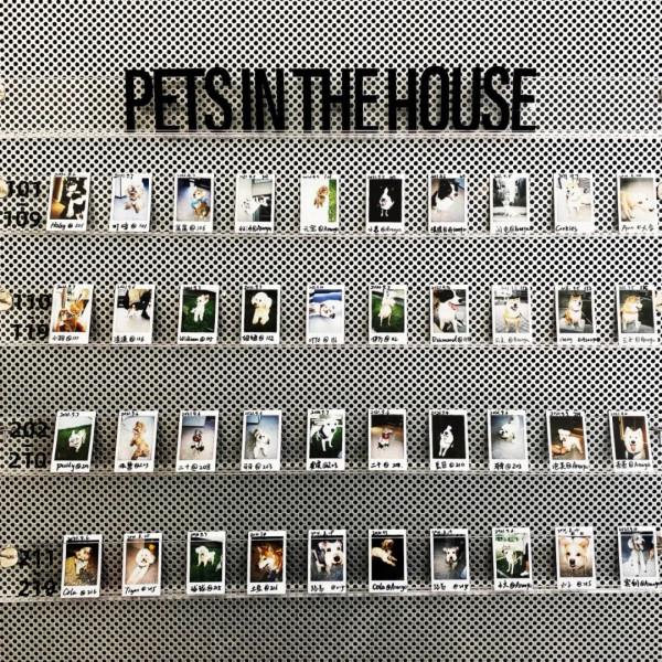 阿那亞新作,75m²獨梯獨戶寵物酒店,狗生圓滿不過如此 阿那亞新作,75m²獨梯獨戶寵物酒店,狗生圓滿不過如此