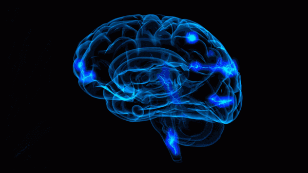 曼德拉效應越發明顯,是人類記憶被集體篡改,還是存在多元宇宙? 曼德拉效應越發明顯,是人類記憶被集體篡改,還是存在多元宇宙?