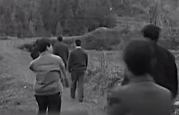 貴州出現“鬼剃頭”現象，村民集體脫髮，專家調查後也開始脫髮