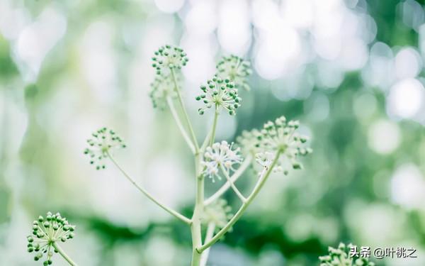 “親戚借錢買房，拒絕後翻臉”：有些關係，不必精心維護