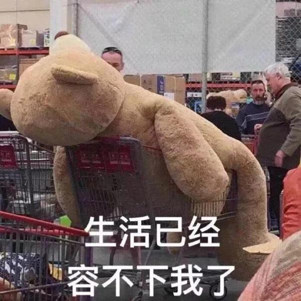 「周運11.1-11.7」獅子業績比較好，白羊射手警惕背叛