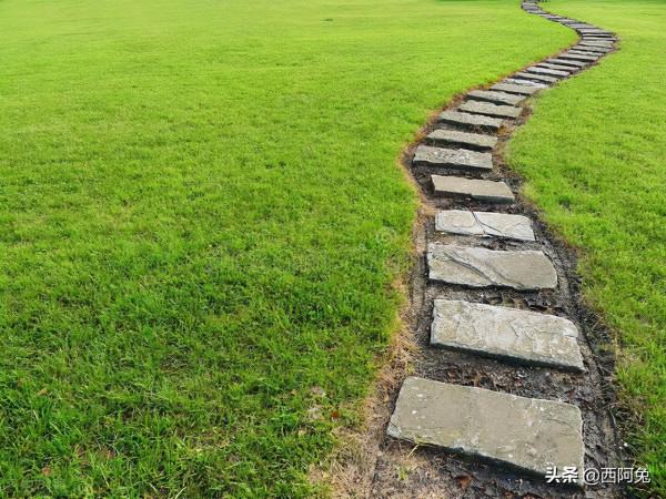 獅子座的荒誕 獅子座的荒誕