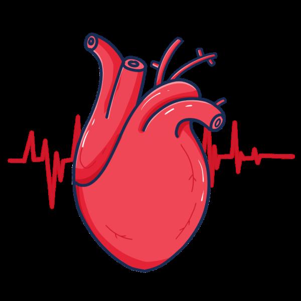 如果你身體有這4種表現 恭喜你，你的心臟很健康！