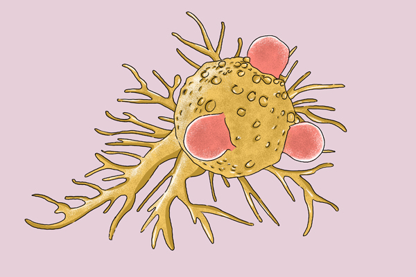 癌症患者離世後,體內癌細胞還會不會繼續擴散?告訴您實情 癌症患者離世後,體內癌細胞還會不會繼續擴散?告訴您實情