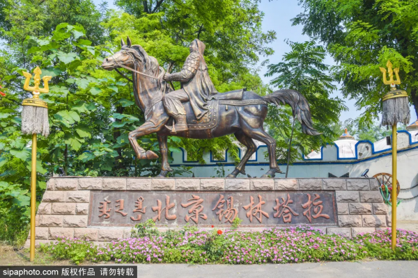 免門票！森林公園裡藏著個“小內蒙古”，還免費停車~