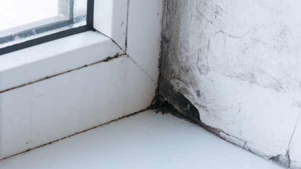 斷橋鋁門窗5個地方容易漏水 找準關鍵才好防水堵漏 斷橋鋁門窗5個地方容易漏水 找準關鍵才好防水堵漏