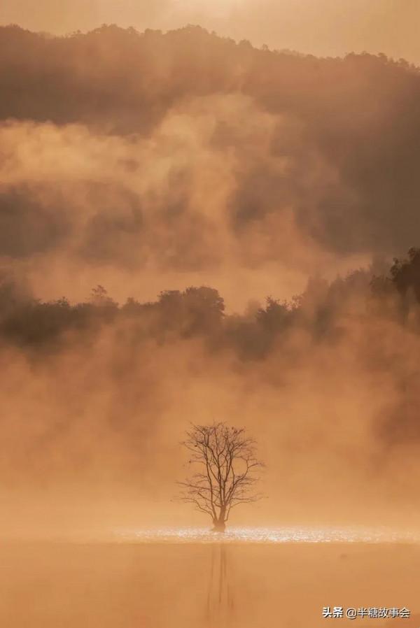 毛澤東詩詞中的秋天,氣勢磅礴、壯美無比 毛澤東詩詞中的秋天,氣勢磅礴、壯美無比