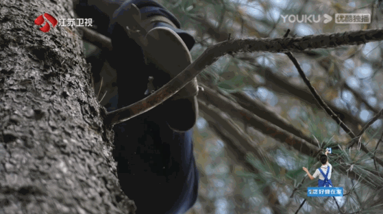 41歲謝霆鋒“最甜CP”爆紅後，王菲笑了三天：我願意退出