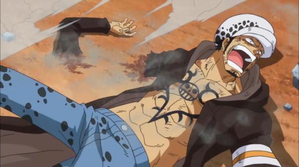 海賊王：繼霍金斯戰敗後，“斷臂家族”又增一員，共11位獨臂大俠