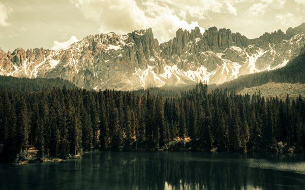 對於生活，不喜歡回頭，也不願將就的星座，為了夢想而活出真我