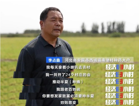 中藥材掀“漲價潮”!價格翻番!返鄉大學生回家“種藥”,年入超40萬元 中藥材掀“漲價潮”!價格翻番!返鄉大學生回家“種藥”,年入超40萬元