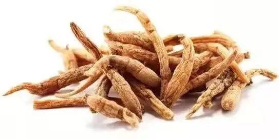 「中醫藥科普」吃參有講究，你選對了嗎？