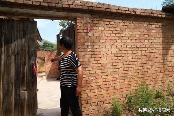 農民大姐家有“黑熊犬”，忠誠聰明1狗護全村，8萬不賣