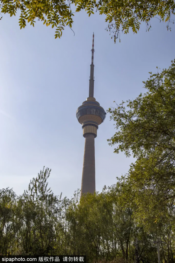 免費！毗鄰玉淵潭，這個公園人少景美，據說還能治“頸椎病”！