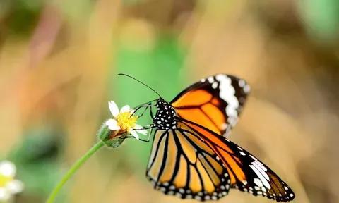 或許你不相信,但這是真實的存在 或許你不相信,但這是真實的存在