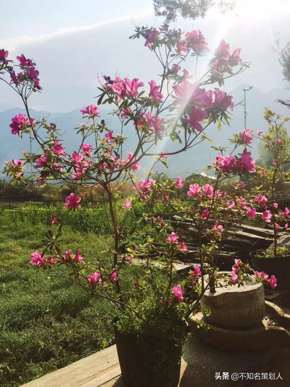 一張圖片，一段故事，記錄那些我獨自走過的城市。（一）