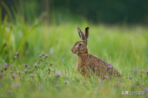 民間故事:大善人馮四海 民間故事:大善人馮四海
