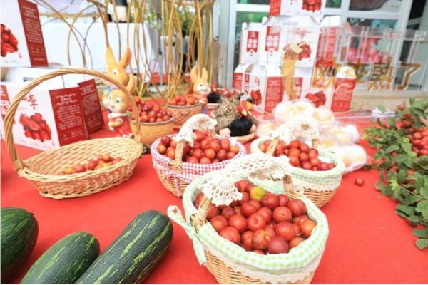 豐收的季節,京郊遊玩樂採摘 豐收的季節,京郊遊玩樂採摘