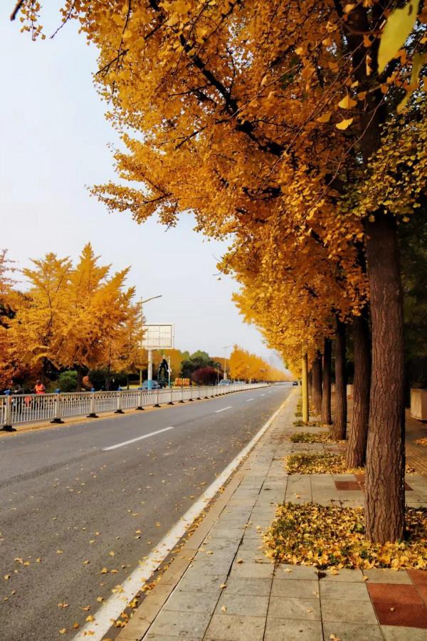 秦皇島北戴河秋天的美景