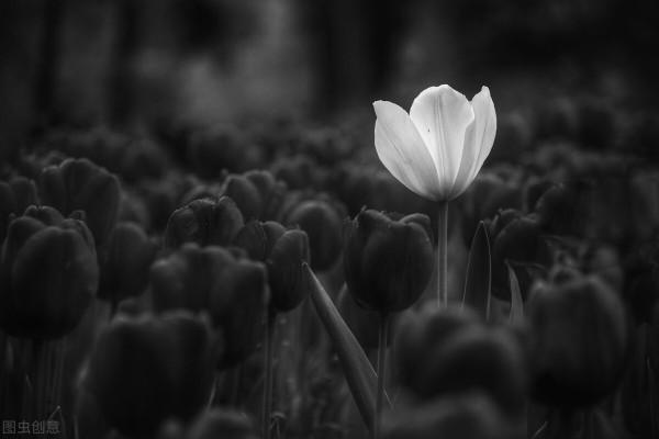 腹式呼吸和冥想訓練