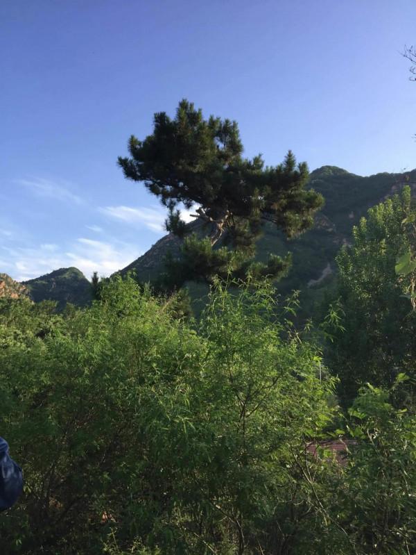 老同學暢遊八仙山