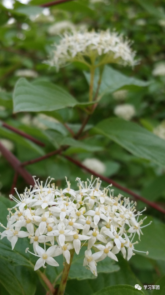 晚間悅讀丨讀書的意義，藏在你讀過的每一本書裡