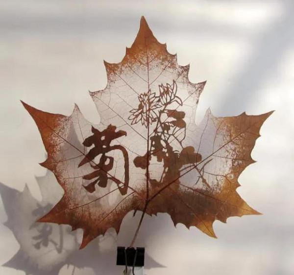 一葉知秋,一葉一世界 一葉知秋,一葉一世界