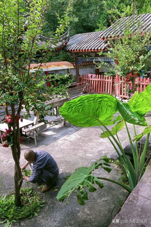 開車翻越秦嶺去漢中,不走高速走國道,路上風景竟然這麼好 開車翻越秦嶺去漢中,不走高速走國道,路上風景竟然這麼好