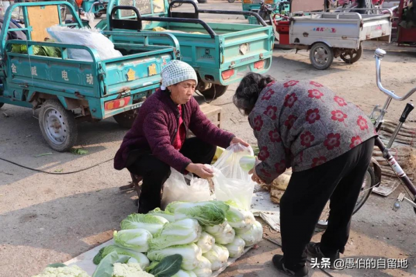 深秋時的蘇北鄉村集市:看了超親切,我一張也不捨得刪除 深秋時的蘇北鄉村集市:看了超親切,我一張也不捨得刪除