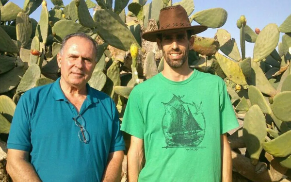 仙人掌果，美國西南部特產，巴以民族身份象徵