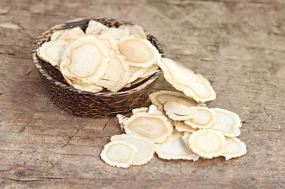 小兒暑熱，煎西洋參白茯苓