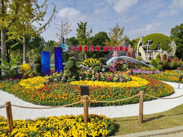 「雙11」寒潮來襲檢驗是否空軍,什麼用蚯蚓也能上草魚? 「雙11」寒潮來襲檢驗是否空軍,什麼用蚯蚓也能上草魚?