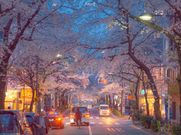 永遠不會成為“綠茶”的星座女,坦率真誠,不會矯揉造作 永遠不會成為“綠茶”的星座女,坦率真誠,不會矯揉造作