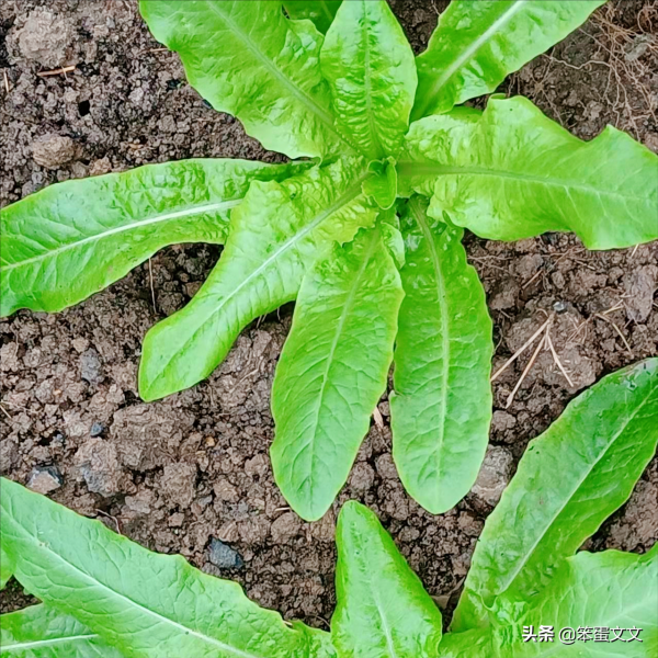 獨處是自我的豐富(二) 獨處是自我的豐富(二)