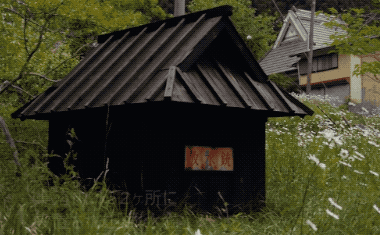 38間破茅草房竟成網紅村，每年30萬人打卡，美麗鄉村怎離得開