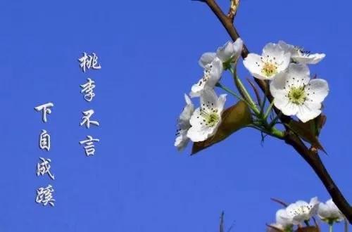 桃李不言，下自成蹊