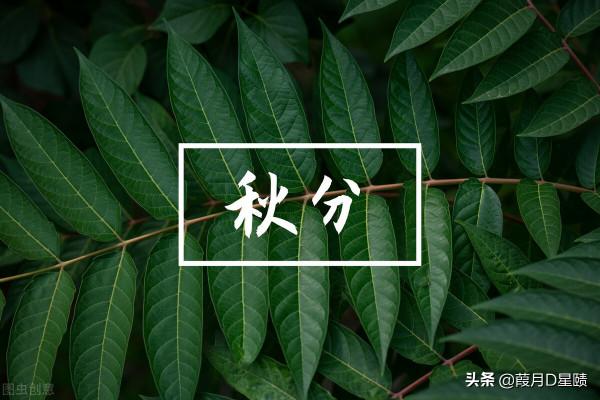 東西巡天禮:處女座 東西巡天禮:處女座